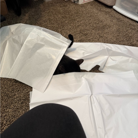 Meet your Posher, Karina - Picture 14 of 14